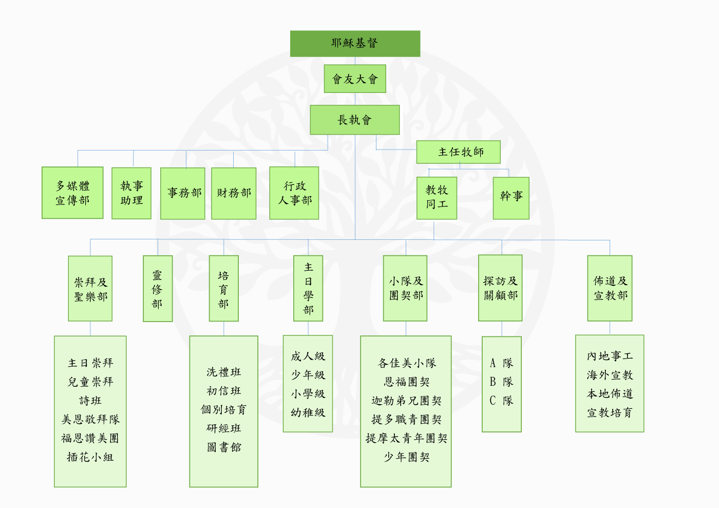 church organization